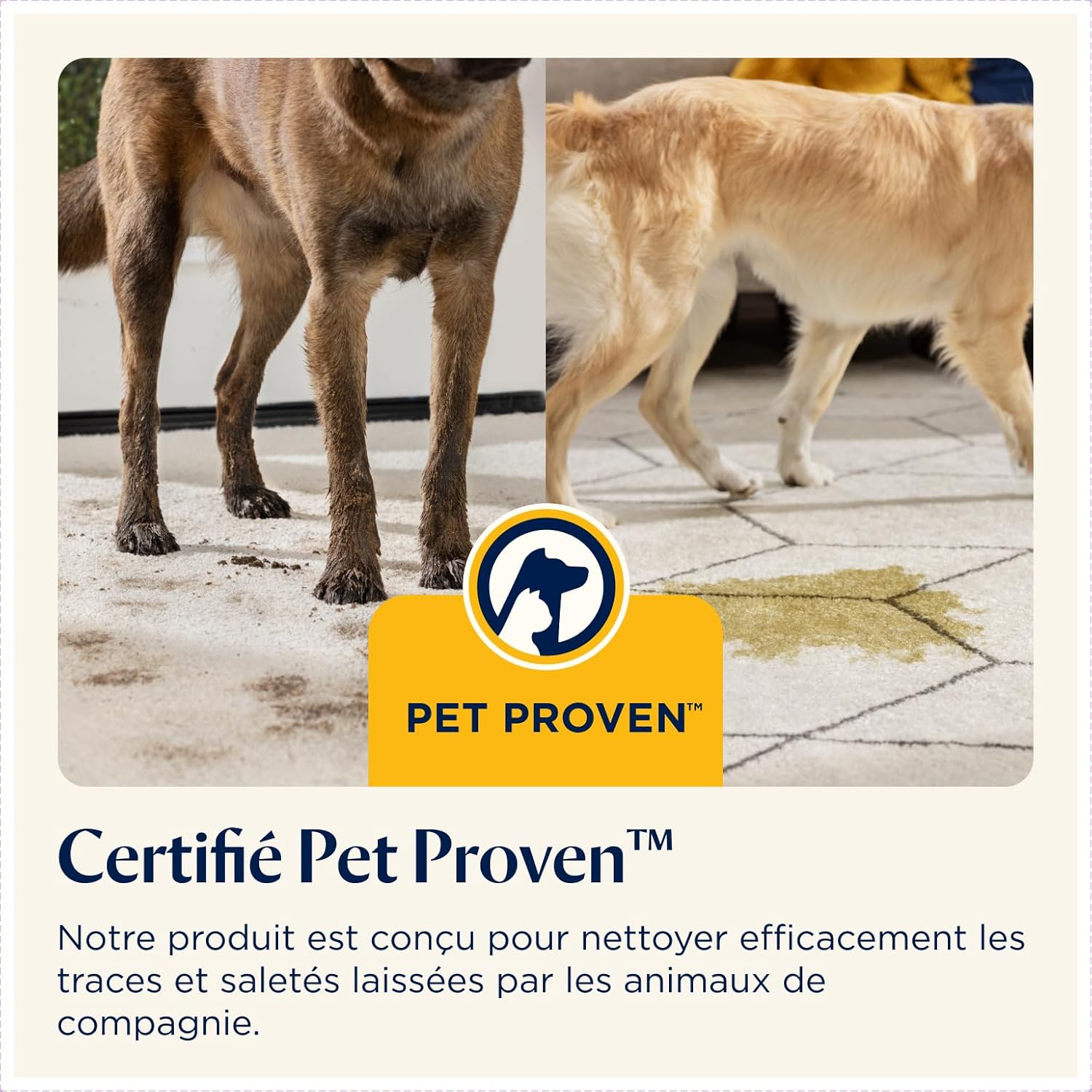 BISSELL SpotClean Pet Pro Shampouineuse Canapé 750W 15585 | Idéal pour les propriétaires d'animaux, nettoyeur pour tapis, moquettes, meubles, tissus, voiture et plus Hydrolab France
