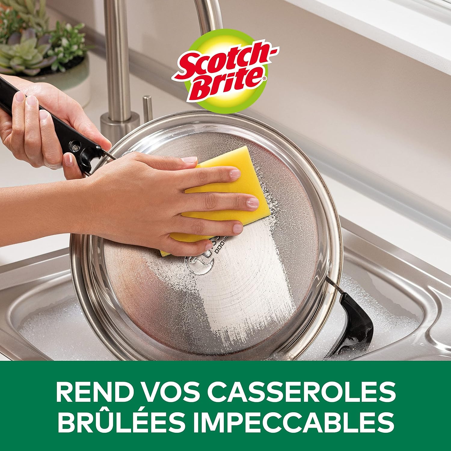 Éponge à récurer Scotch-Brite Classic - 20 pièces Hydrolab France