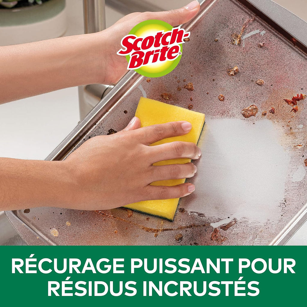 Éponge à récurer Scotch-Brite Classic - 20 pièces Hydrolab France