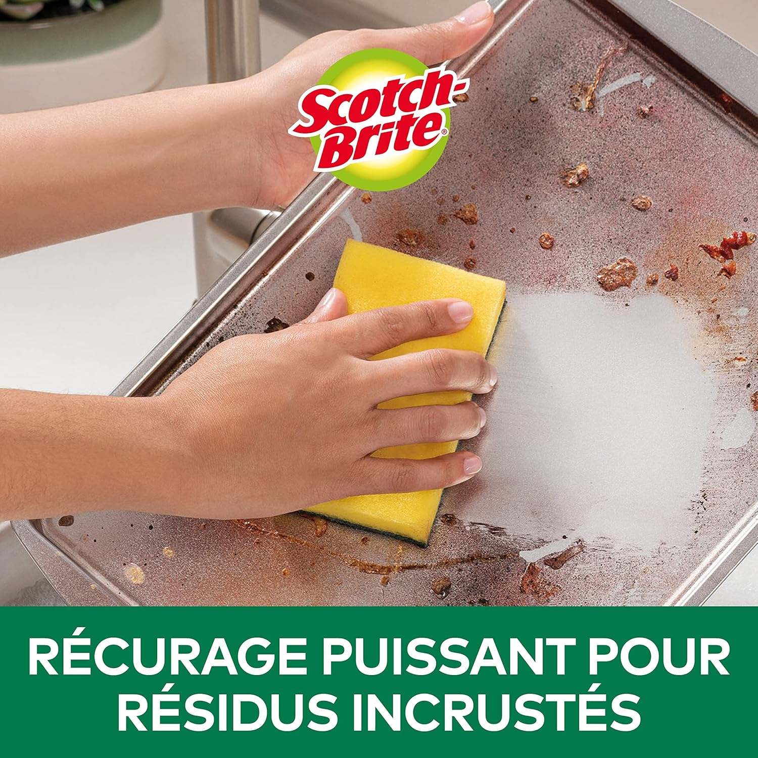 Éponge à récurer Scotch-Brite Classic - 20 pièces Hydrolab France